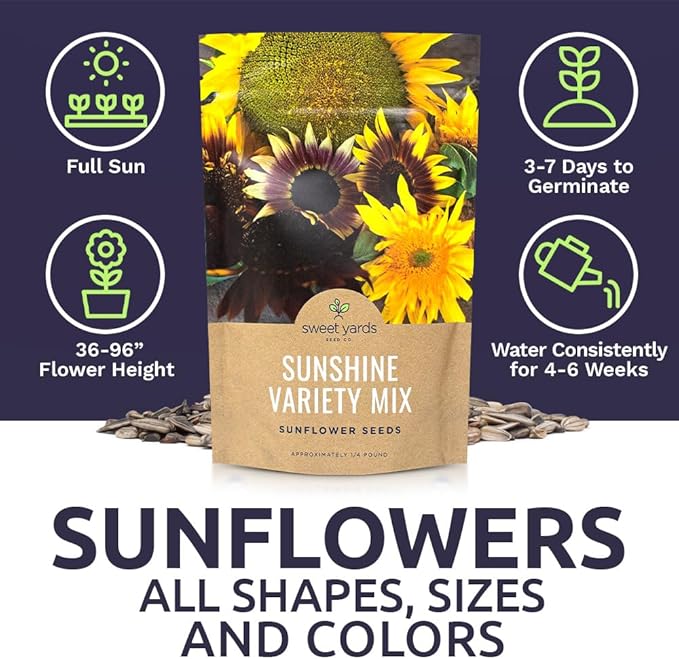 Bulk Sunflower Seeds - Variety Mix 10 Types of Beautiful Sunflowers - 1/4 Pound Bag Open Pollinated Sunflower Seeds for Planting