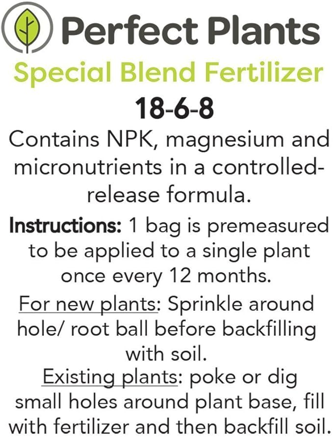 PERFECT PLANTS Drift Rose Live Plant, 1 Gallon, Coral Colored Petals and Green Stem