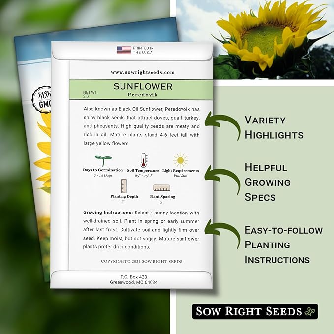 Sow Right Seeds - Peredovik Sunflower Seeds for Planting - Non-GMO Heirloom Packet with Instructions for Growing - Russian Black Sun Flower - Great for Wildlife and Sunflower Oil - Annual Blooms (2)