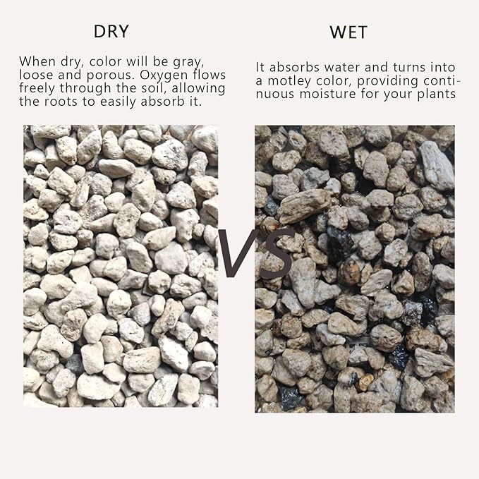 Horticultural Pumice for Plants 5QT, Natural Organic Pumice Stones for Succulent Cactus Bonsai Tree Orchid Potting Mixed, Improves Soil Aeration and Drainage, Promotes Root