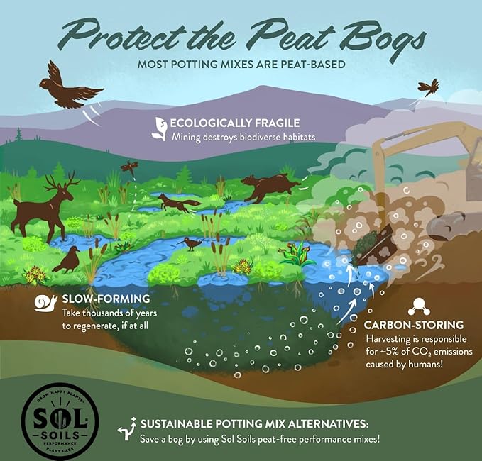 Sol Soils Chunky Houseplant Mix - Fast Draining Soil for Indoor Plants with Coco Coir Chips, Perlite, & Pumice, 1 Gallon