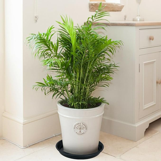 6 Pack Bottom 12 Inch Plant Saucers for Indoors Outdoors Plastic Plant Water Catcher Trays No Holes Round Flower Pot Drip Trays for Pots Base Heavy Duty Plant Pot Saucers Water Drainage Trays, Black