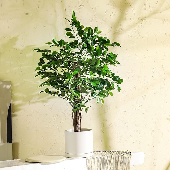 Ceramic Plant Saucer Pot Tray 12 Inch, Planter Saucers 4 5 6 7 8 9 10 11 12 Inch for Indoors Outdoor, Durable Sturdy Flower Drainage Tray for Glazed Pots Base (12.5 Inch-White)