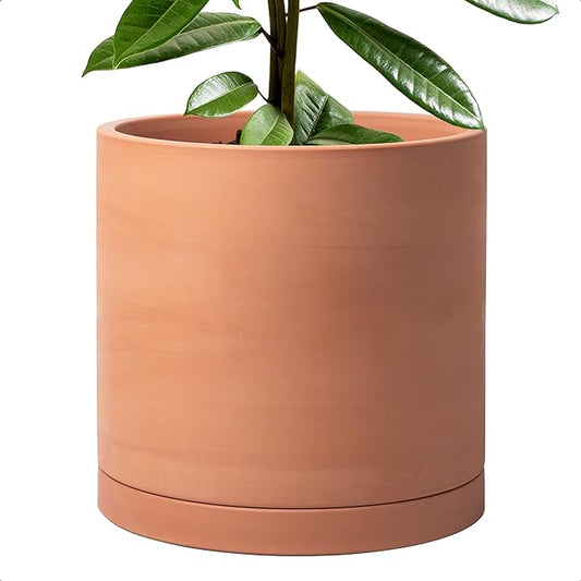 D'vine Dev X-Large 12 Inch Terracotta Plant Pot with Drainage Hole and Saucer, Round Cylinder Planter Pot for Indoor Plants, 40-X-A-6