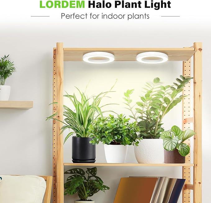 LORDEM 6.3” Ceiling Grow Light for Indoor Plants, 144 LEDs Full Spectrum Halo Grow Lamp, Under Cabinet Plant Lamp with 4/8/12H Auto Timer, 4 Dimmable Brightness Levels, Ideal for Pot Plants, Dual Head
