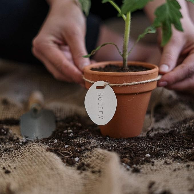 Halatool 3 QT Organic Aloe Plant Soil Potting Mix Garden Top Succulent Soil for Indoor & Outdoor Plants Bonsai Aloe Vera Soil for Houseplants Flowers Vegetables & Herbs