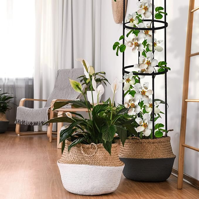 2 Pcs Garden Obelisk Trellis for Climbing Plants Outdoor 6 Ft Rose Bush Round Trellis for Pots Rustproof Metal Plant Flower Trellises for Clematis Vine Jasmine Support Outdoor Indoor