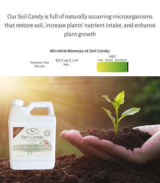 Worm Castings Tea Plant Juice with Bat and Seabird Guanos. Soil Candy, Quart with Added Kelp and Feather Meals and Humic Acid. Soil Restorer - Plant Fertilizer - Compost Starter