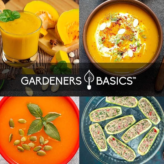 Gardeners Basics, Squash Seeds for Planting 5 Individual Packets - Zucchini, Delicata, Butternut, Spaghetti and Golden Crookneck for Your Non GMO Heirloom Vegetable Garden