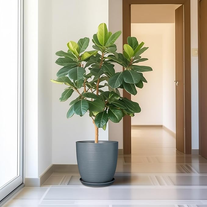 12 Inch Pots for Plants Ceramic Planter Pot Large Flower Pot with Drainage Hole and Saucer for Home Patio Garden Office Indoor Outdoor Gray