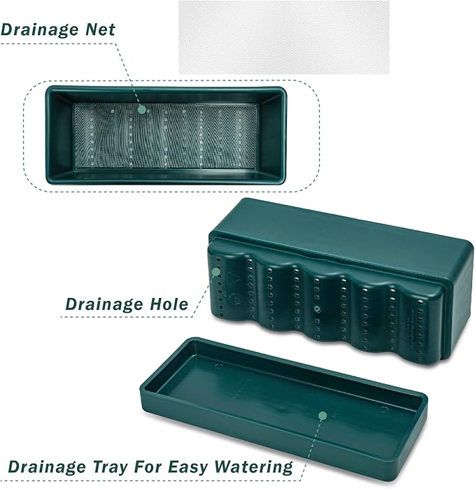 D'vine Dev 12 Inch Window Box Planter, Rectangle Plastic Herb Planter with Drainage Holes and Saucer, Indoor Succulent Cactus Vegetable Pot for Windowsill, Garden Balcony, Green, Set of 1, 76-X-C-1