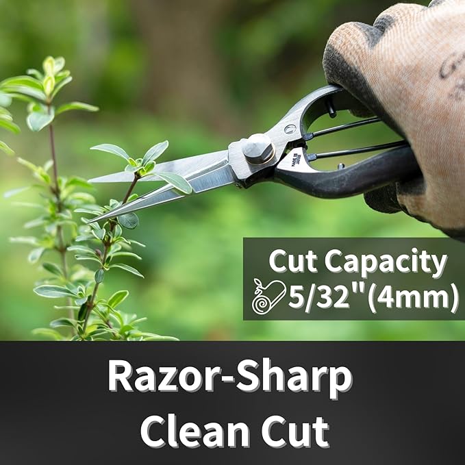 Bud Trimming Scissors for Gardening 8", Professional Garden Trimming and Thinning, Hand Forged Japanese Carbon Steel Blade, Spring Loaded Handle, Made in Japan