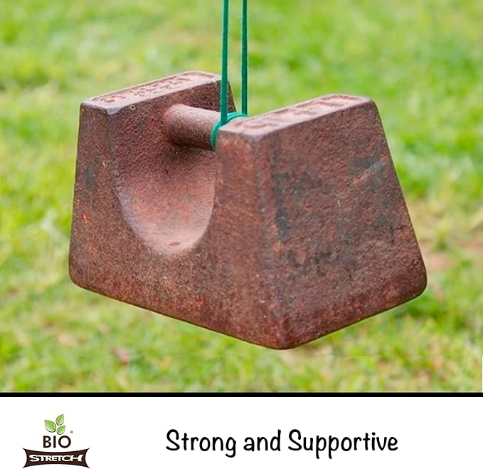 Extra Wide Soft Tree Ties - Strong & Stretchy Support for Large Plants & Young Trees - Cut-to-Length Green Garden Tape for Home & Professional Gardening (26 ft / 8M)