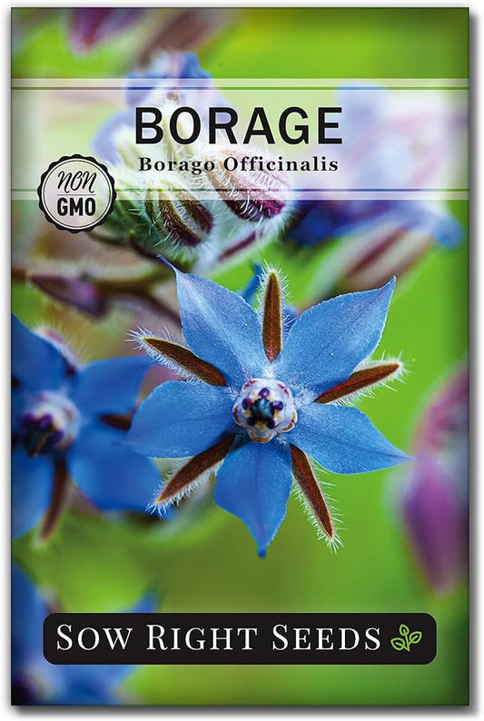 Sow Right Seeds - Borage Seed to Plant - Non-GMO Heirloom Seeds - Full Instructions for Easy Planting and Growing a Kitchen Herb Garden - Indoors or Outdoor - Great Gardening Gift (1)