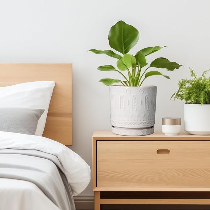 Ceramic Planter for Indoor Plants - 8 Inch Plant Pot Outdoor Flower Pot with Drainage Holes and Saucer Modern Round Planter Succulent Pot for Home Garden Decor White