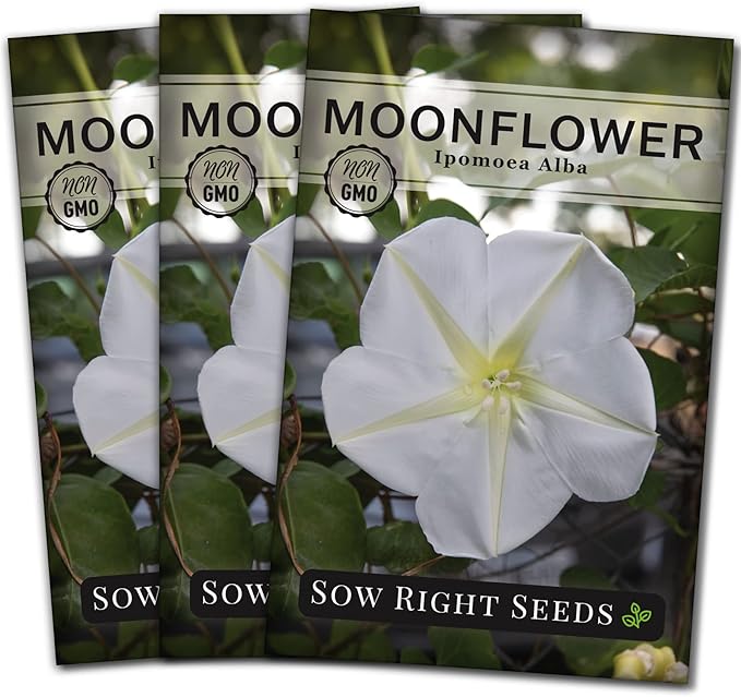 Sow Right Seeds - Moonflower (Ipomoea alba) Flower Seeds for Planting - Beautiful Flowers to Plant in Your Home Garden - Non-GMO Heirloom Seeds - Tall Annual Great for Cut Flowers - Wonderful Gift (3)