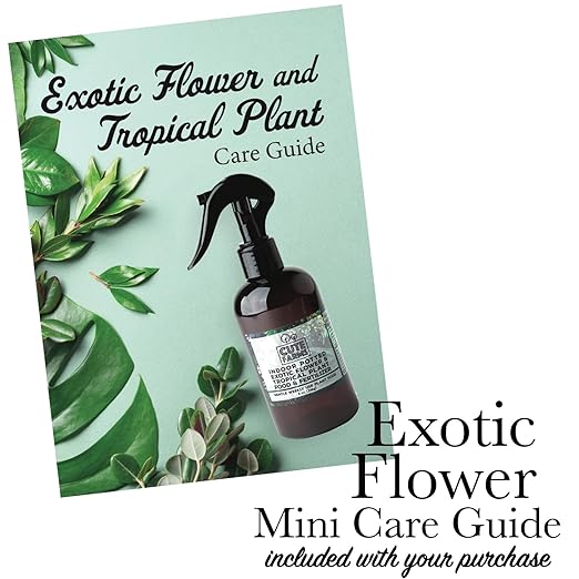 Cute Farms Indoor Potted Exotic Flower & Tropical Plant Fertilizer | Gentle Weekly Use Formula Plant Food (Three - 8 oz. Spray Bottles)