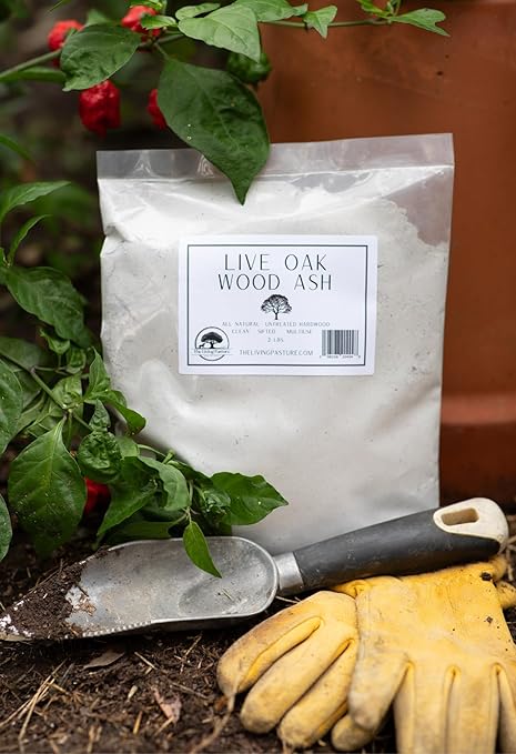 Live Oak Wood Ash - All Natural Clean Sifted Premium MultiUse Hardwood Ashes (2 lbs)