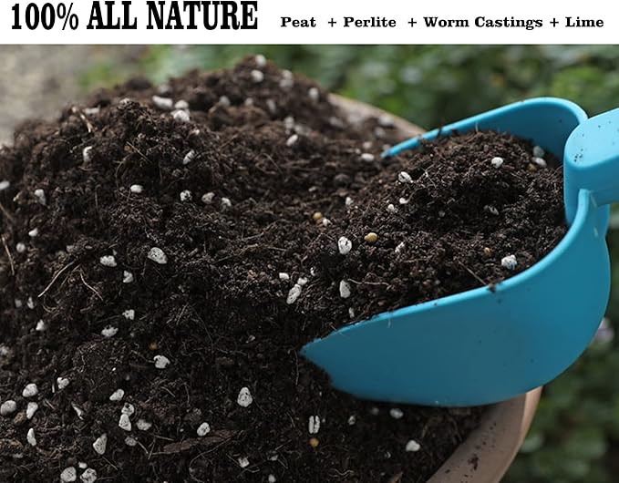 Houseplant Potting Mix 4qt, Fertilized, Perlite Soil for All Types of Indoor House Plants and Tropical Plant
