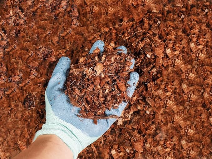 Coco Coir Chips 2-Pack Envelor 2.4 Cu. Ft. Compressed Coconut Coir Bricks 10 lb. Natural Substrate for Indoor Outdoor Coco Chips for Plants Orchid Bark Coco Coir Brick Plant Soil Indoor Potting Mix