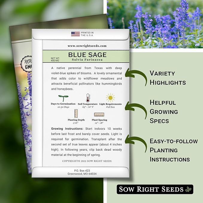 Sow Right Seeds - Blue Sage Wildflower Seed to Plant - Non-GMO Heirloom Seeds - Full Instructions for Planting and Growing Mealycup Sage or Salvia farinacea - Indoors or Outdoor - Gardening Gift (4)