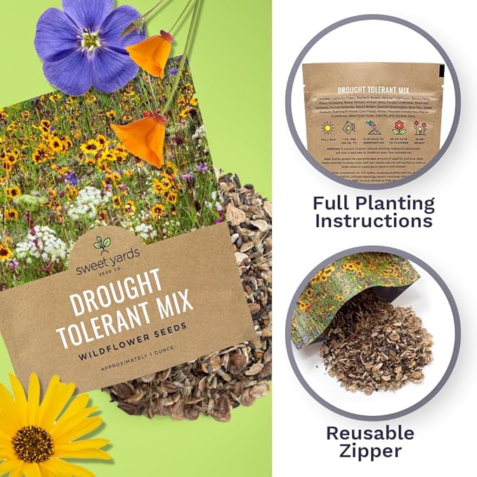 Drought Tolerant Wildflowers Mix – Extra Large Packet – Over 7,500 Open Pollinated Non-GMO Seeds – 21 Different Dryland Species