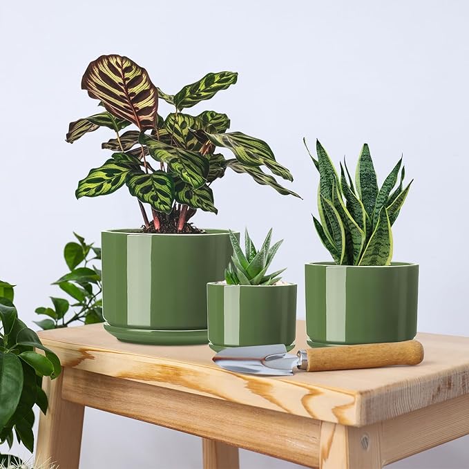 EFISPSS Ceramic Plant Pots, 4+5+6 Inch Pots for Indoor Plants, Planter Pot with Drainage Hole,Flower Pots for Succulent Cactus,Set of 3 - Patina