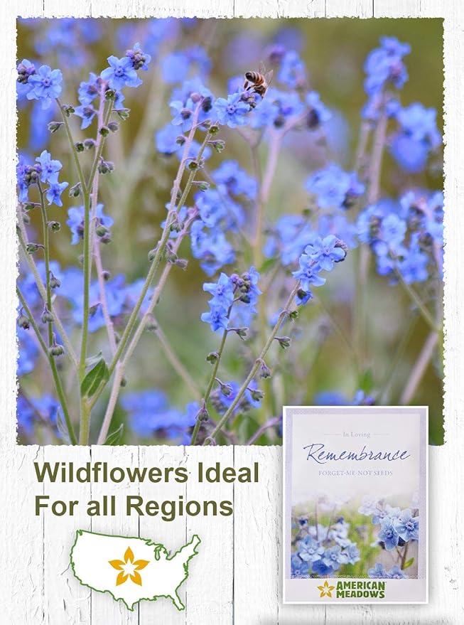 American Meadows Wildflower Seed Packets in Loving Remembrance Memorial Favors (Pack of 20) - Forget-me-Not Seed Mix, Favors for Funerals, Wakes, Viewings, Visitations, Memorial Services