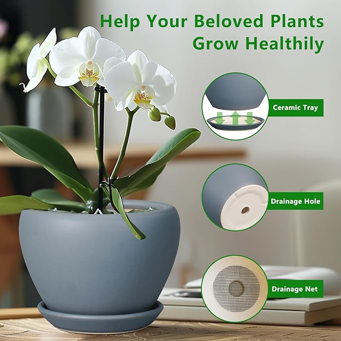10 Inch Plant Pot - Ceramic Planter for Indoor Plants Large Plant Pot with Drainage Hole and Saucer Round Outdoor Planter Modern Flower Pot for Home Decor Gray