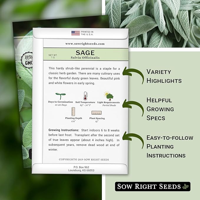 Sow Right Seeds - Sage Seeds for Planting - Non-GMO Heirloom Packet with Instructions to Plant and Grow Kitchen Herb Garden - Indoor or Outdoor - Great for Pollinators - Culinary Seasoning (3)