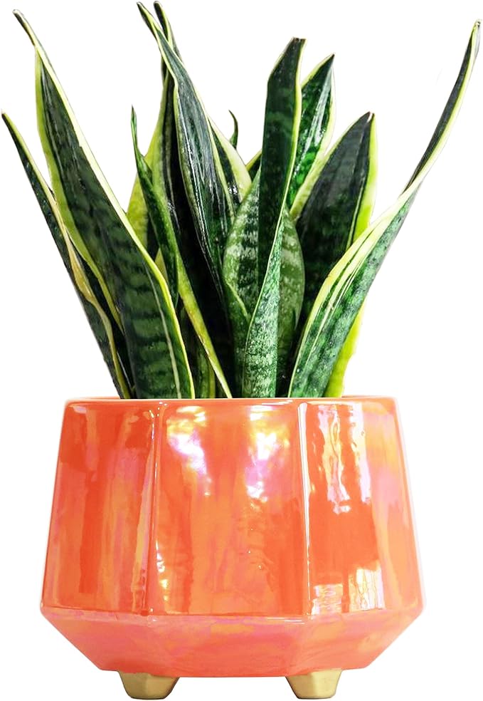 8 Inch Ceramic Planter for Indoor Plants - Plant Pots with Drainage Holes - Modern Minimalist Flower Pot for Succulents and Herbs - Peach