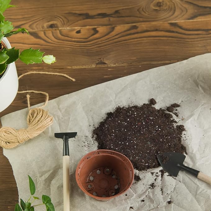 Christmas Cactus Potting Soil Mix 4qt, Ideal for Succulents, Christmas Cacti, and Other Indoor Potted Plantings