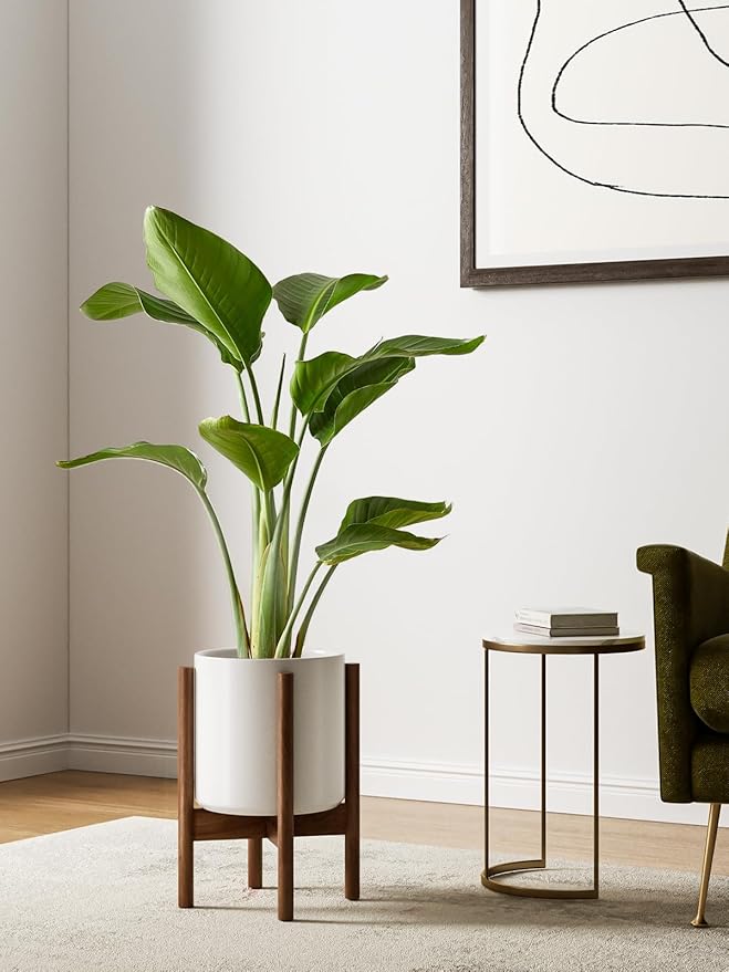 LE TAUCI 12 Inch Plant Pot with Acacia Wood Stand, Large Ceramic Planter for Indoor Plants, Mid-Century Modern Home Decor, Round Flower Pot with Drainage Hole and Adjustable Plant Stand, White