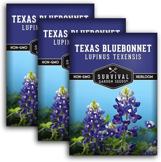 Texas Bluebonnet Seed for Planting - 3 Packets with Instructions to Plant & Grow Lupinus Texenisis in Your Home Wildflower Garden - Non-GMO Heirloom Variety- Survival Garden Seeds - Drought Resistant