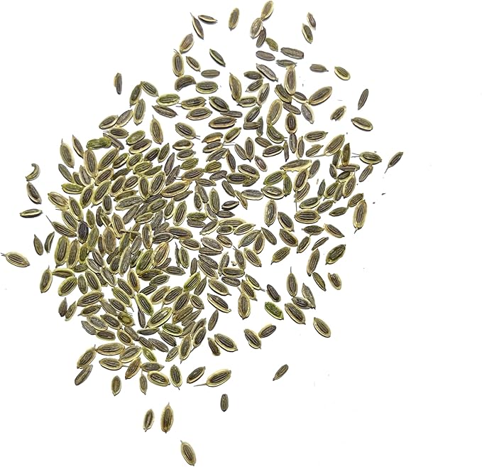 Seed Needs, Bouquet Dill Seeds - 250 Heirloom Seeds for Planting Anethum graveolens - Culinary Herb to Grow Indoors or Outdoors, Non-GMO & Untreated (2 Packs)