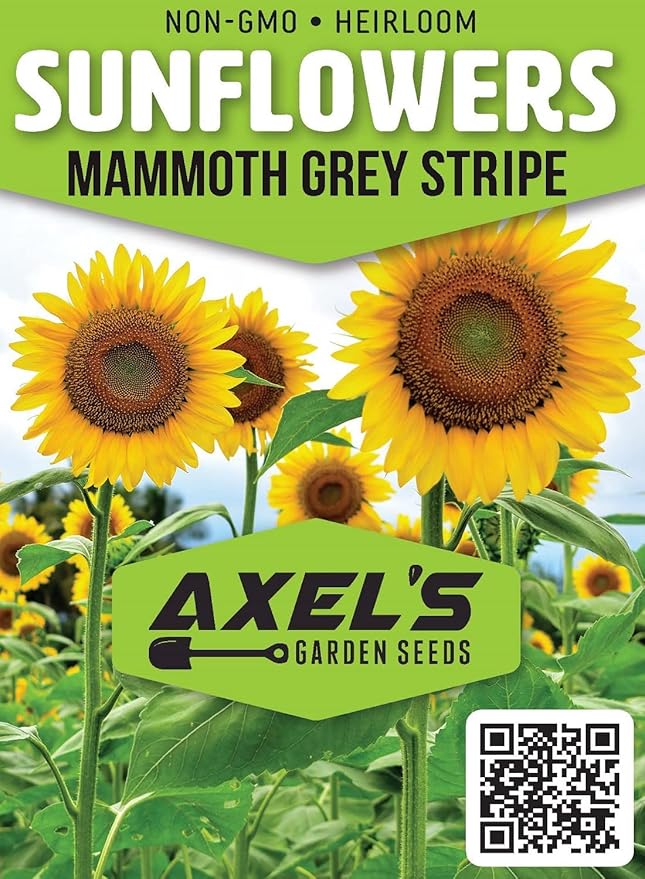 Mammoth Sunflower Seeds for Planting - Grow Giant Sun Flowers in Your Garden - 50 Non GMO Heirloom Seeds - Full Planting Instructions for Easy Grow - Great Gardening Gifts (3 Packets)