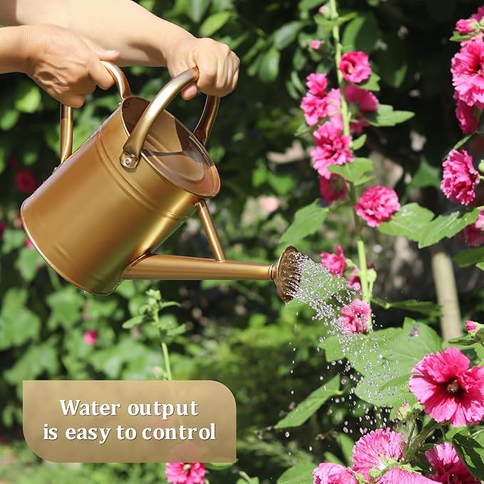 Watering Can for Outdoor Plants and Indoor Plants,1 Gallon Metal Watering Can for Garden Flower,Galvanized Steel Metal Water Can Watering Pot with Sprinkler Head