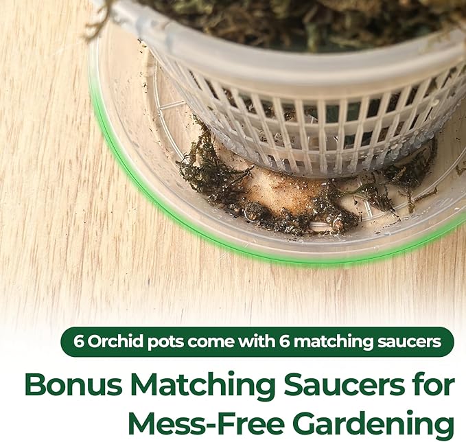 T4U Orchid Pot, 6 Pack 4.3 Inch Orchid Pots with Holes and Saucers, Clear Orchid Pots for Repotting, Plastic Flower Plant Pot for Indoor Outdoor Plants, Slotted Orchids Planter for Root Health