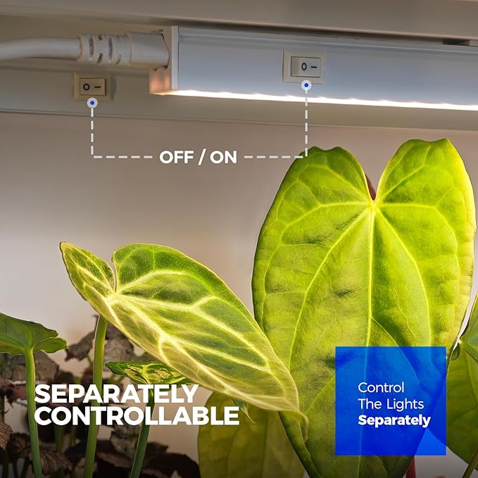 Barrina Grow Lights for Indoor Plants, Full Spectrum Sunlight, 1ft Plant Growing Lamp, LED Grow Light Bulbs, T5 Grow Light Strip, Plug and Play, Yellow, 4-Pack