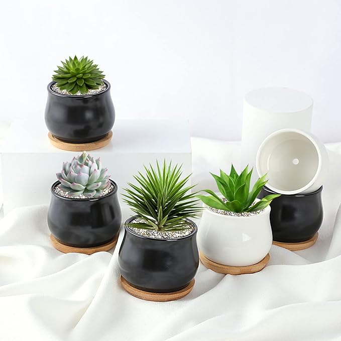 12 Pack Succulent Plant Pot, Mini 2.6 inch Ceramic Flower Planter Pot with Bamboo Tray, Small Pots for Plants, Plants Not Included （White, Black）