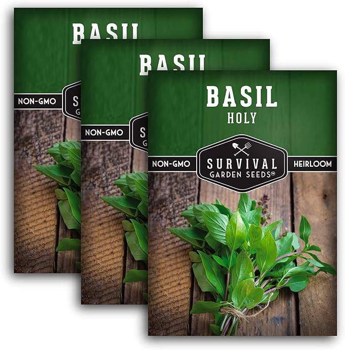 Survival Garden Seeds - Holy Basil Seed for Planting - 3 Packs with Instructions to Plant and Grow The Indian Sacred Herb Tulsi in Your Home Vegetable Garden - Non-GMO Heirloom Variety