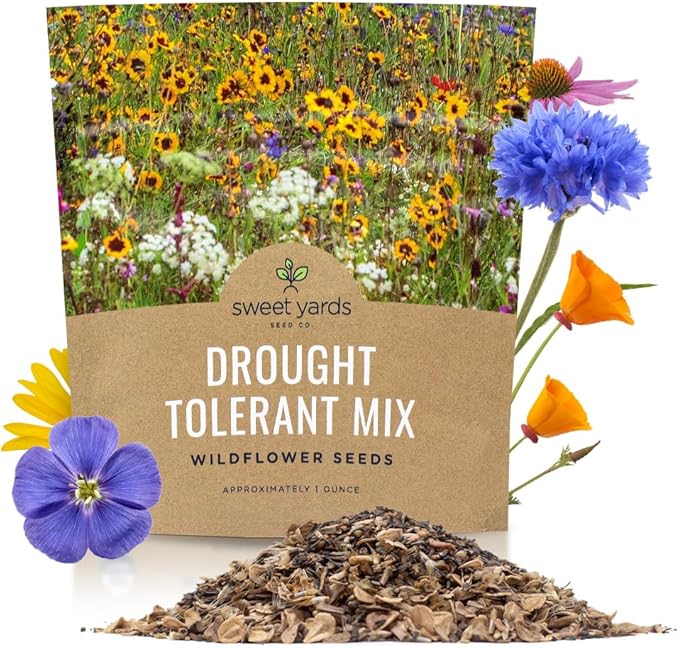 Drought Tolerant Wildflowers Mix – Extra Large Packet – Over 7,500 Open Pollinated Non-GMO Seeds – 21 Different Dryland Species