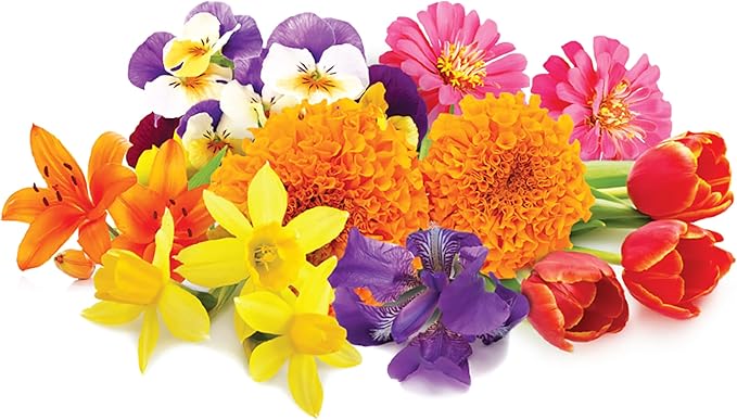 Jobe’s Organics Granular Fertilizer, Organic Fertilizer for Geraniums, Hibiscus, Daisies, and Other Perennial and Annual Plants, 4 lbs Bag