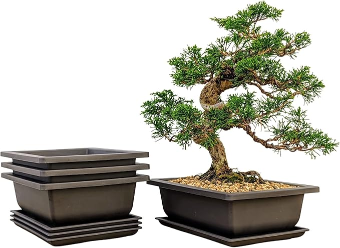 Bonsai Outlet Training Pots with Humidity Trays - Built in Mesh, Brown 8-Inch Large Planters + Made from Durable Shatter Proof Poly-Resin, Set of 3 Pot Set