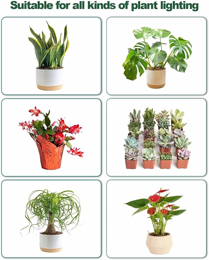 DOMMIA Grow Light, Square 4 Dimmable Full Spectrum High PPFD with Optical Lens, Auto on/Off and 6/12/16H Timer, Suitable for Hydroponics, Seedlings, Succulents, Veg, Flowers & More(No Adapters)