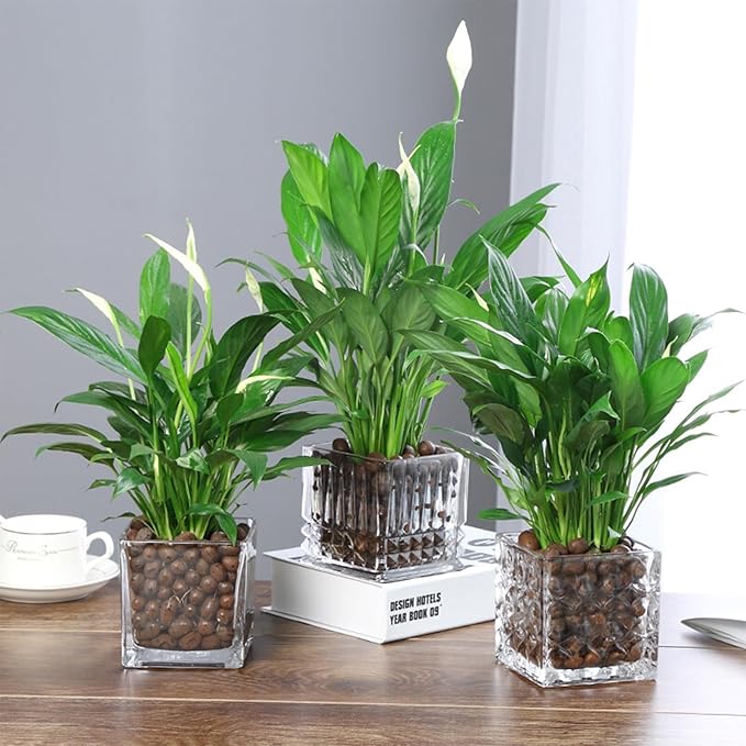 ZeeDix 10LB Expanded Clay Pebbles for Plants Hydroponic, 4mm-16mm Clay Leca Balls Hydroponic Rocks Growing Medium Potting Stones for Indoor Plants Drainage, Aquaponics, Natural Orchid Pebbles Balls