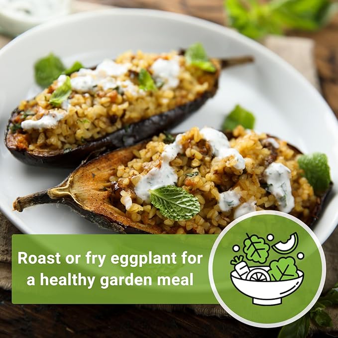 Sow Right Seeds - Black Beauty Eggplant Seed for Planting - Non-GMO Heirloom Packet with Instructions to Plant an Outdoor Home Vegetable Garden - Large Round Fruits, Deep Purple Variety (3)