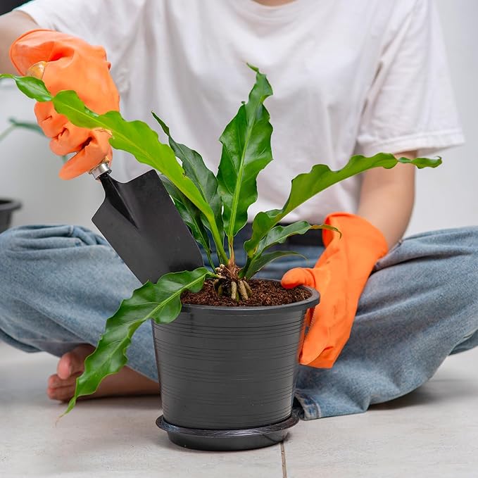 Halatool 30mm 200pcs Organic Coconut Coir Pellets Soil for Planting, Compressed Coco Coir Soil Potting Soil Seed Starters for Growing Vegetables, Fruits, Flowers