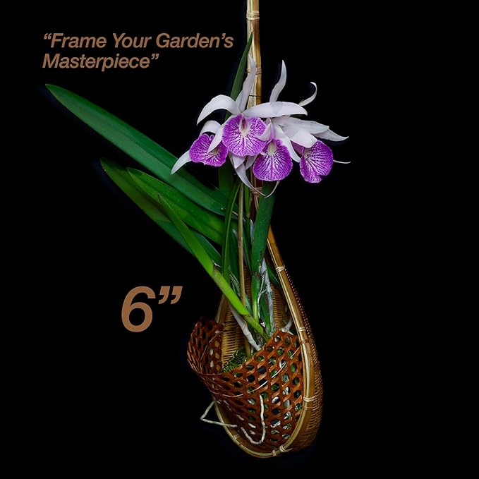 Handmade 100% Thai Bamboo Hanging Orchid Basket – 4 Inch, 5 Inch, 6 Inch (Triple Set)