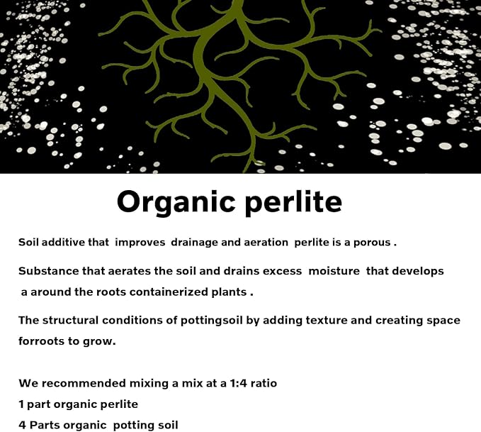5 QT Professional Grade Horticultural Organic Perlite (5 QT, Perlite)